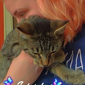 Meet your Posher, Chloe